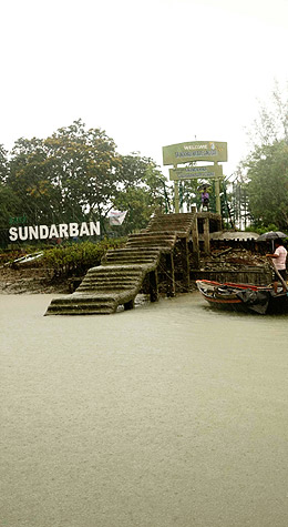 Royal Sundarban Boat